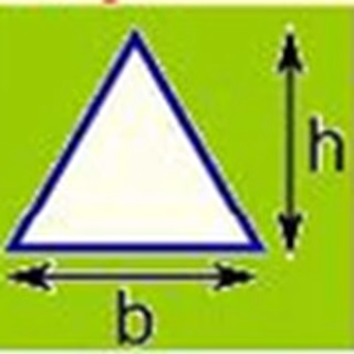Area Calculation
